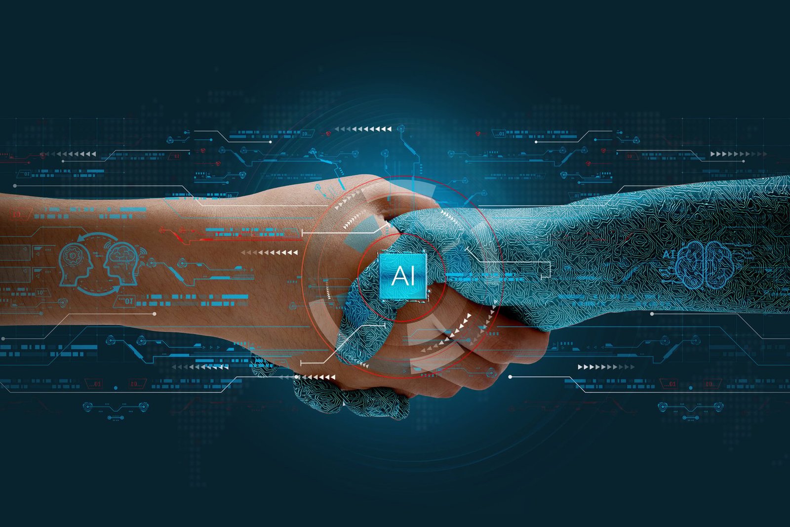 Human and AI Partnership